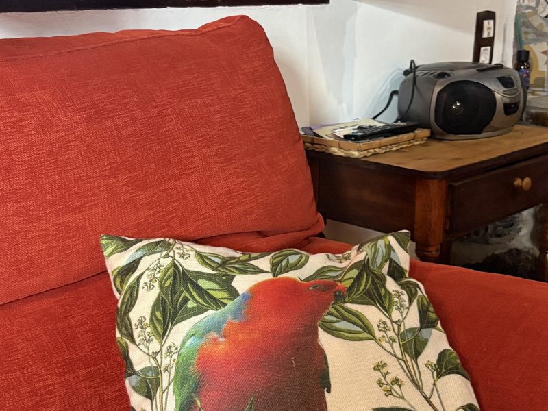 apartamento-turistico-adobe-calatayud-casa-aljez (21)