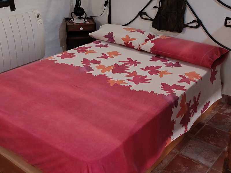 apartamento-turistico-adobe-calatayud-casa-aljez (25)